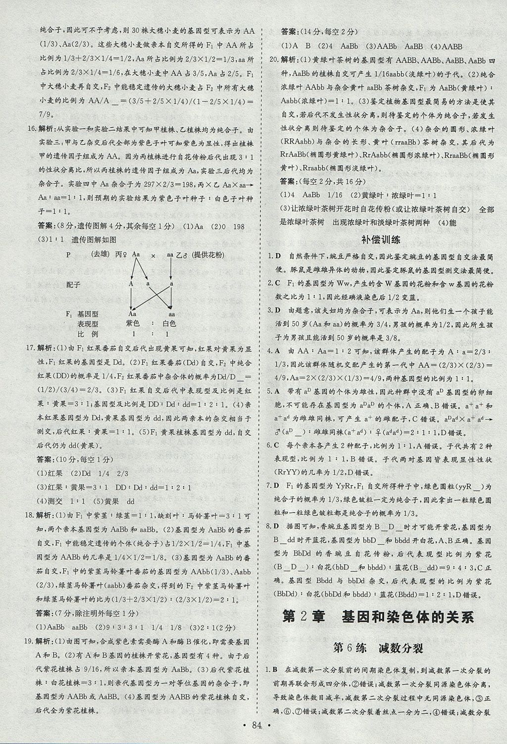 2018年小題巧練生物必修2人教版 參考答案第6頁(yè)
