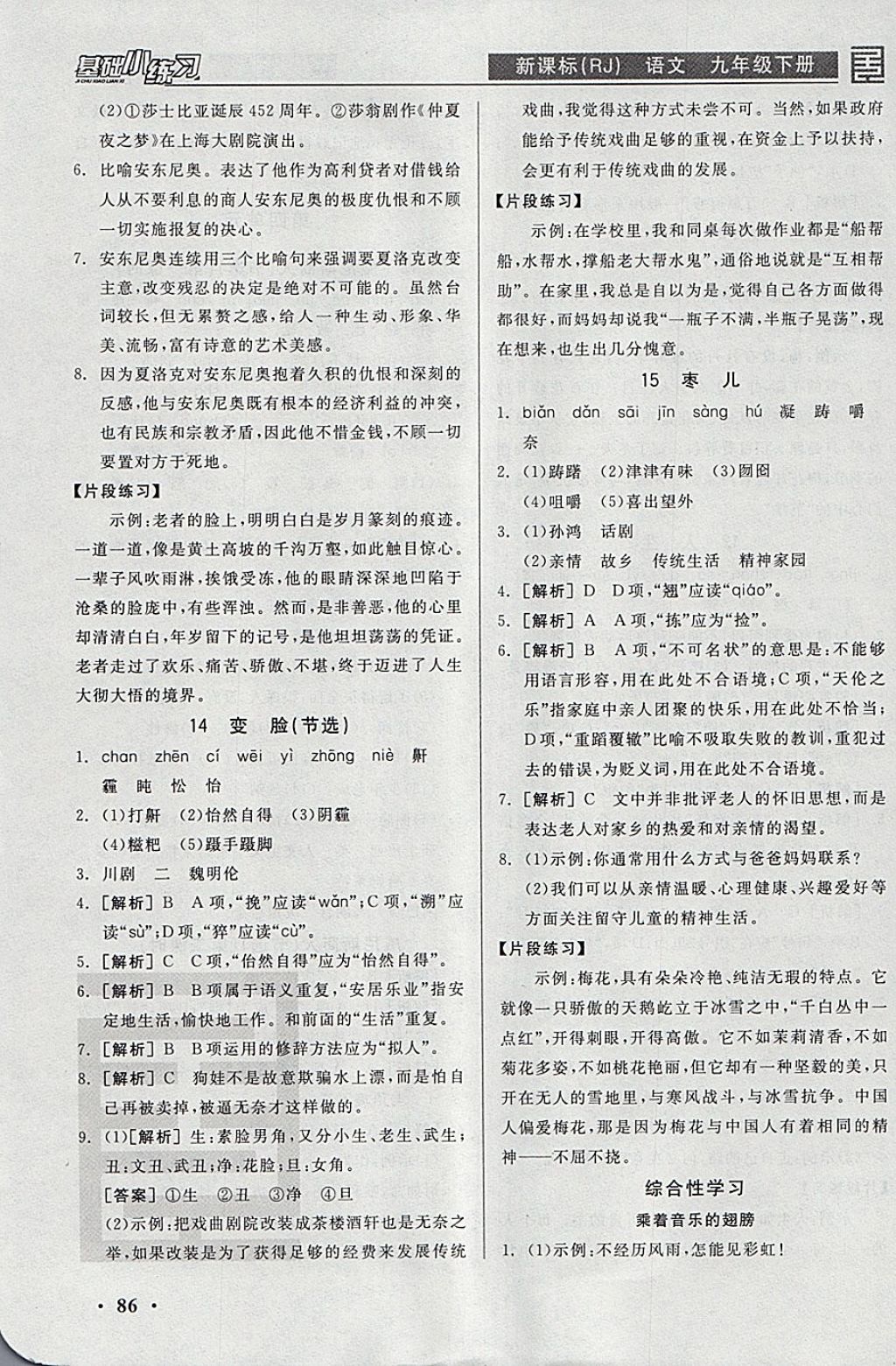 2018年全品基礎(chǔ)小練習(xí)九年級語文下冊人教版 參考答案第8頁