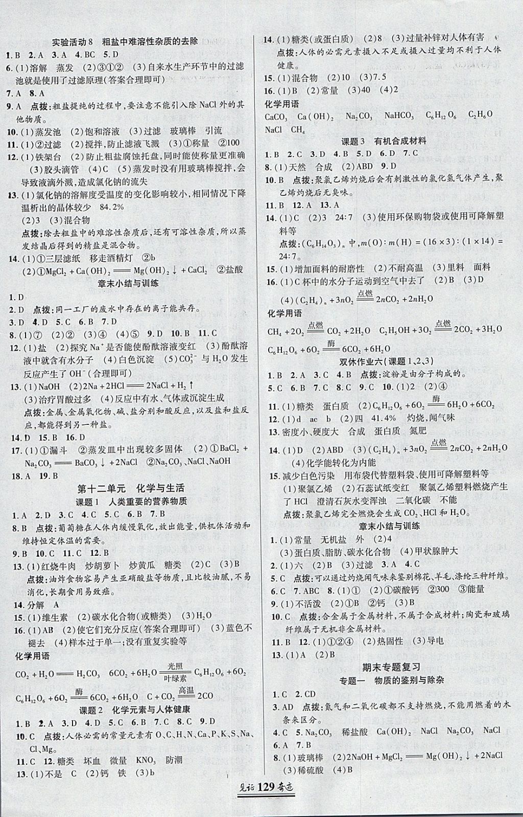 2018年见证奇迹英才学业设计与反馈九年级化学下册人教版 参考答案第8页