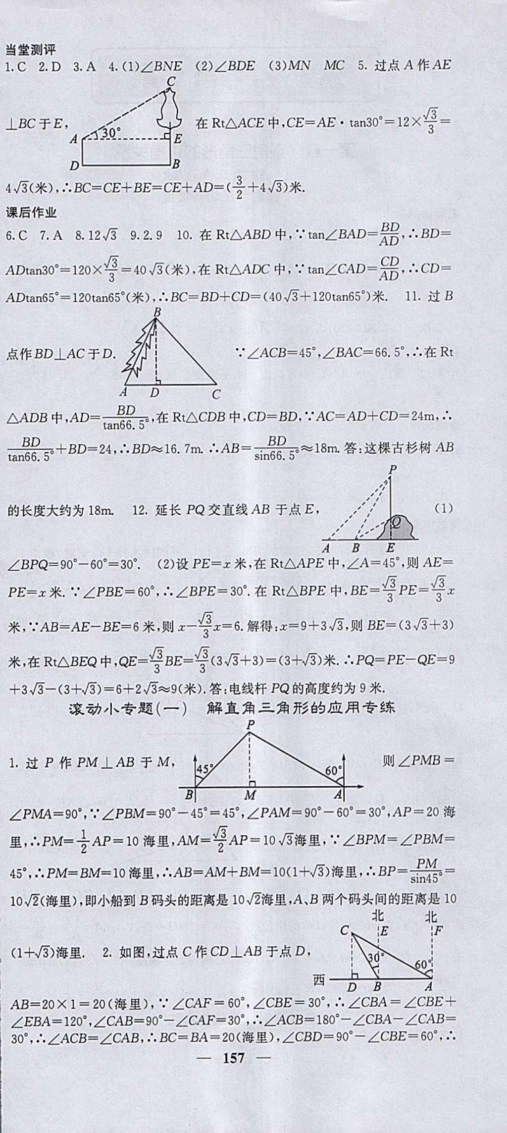 2018年课堂点睛九年级数学下册北师大版 参考答案第6页