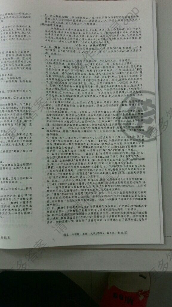 王朝霞语文八年级上册人教版答案