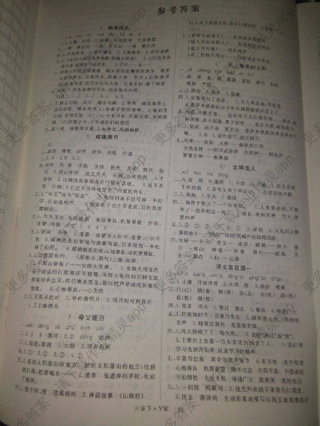 学练优