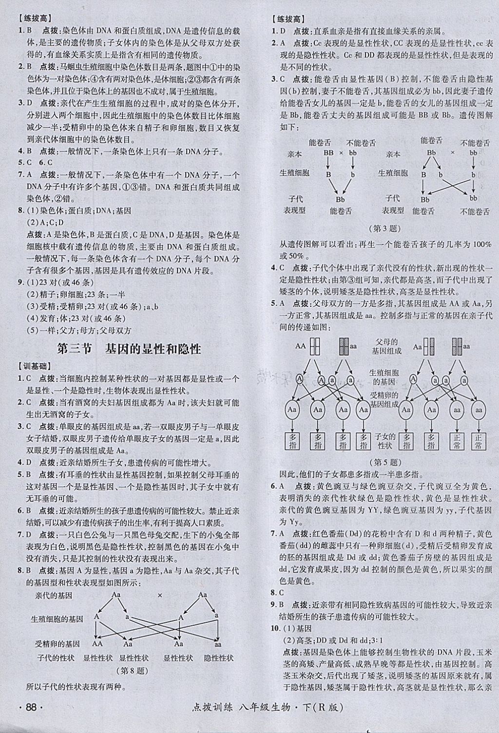 2018年點撥訓(xùn)練八年級生物下冊人教版 參考答案第11頁