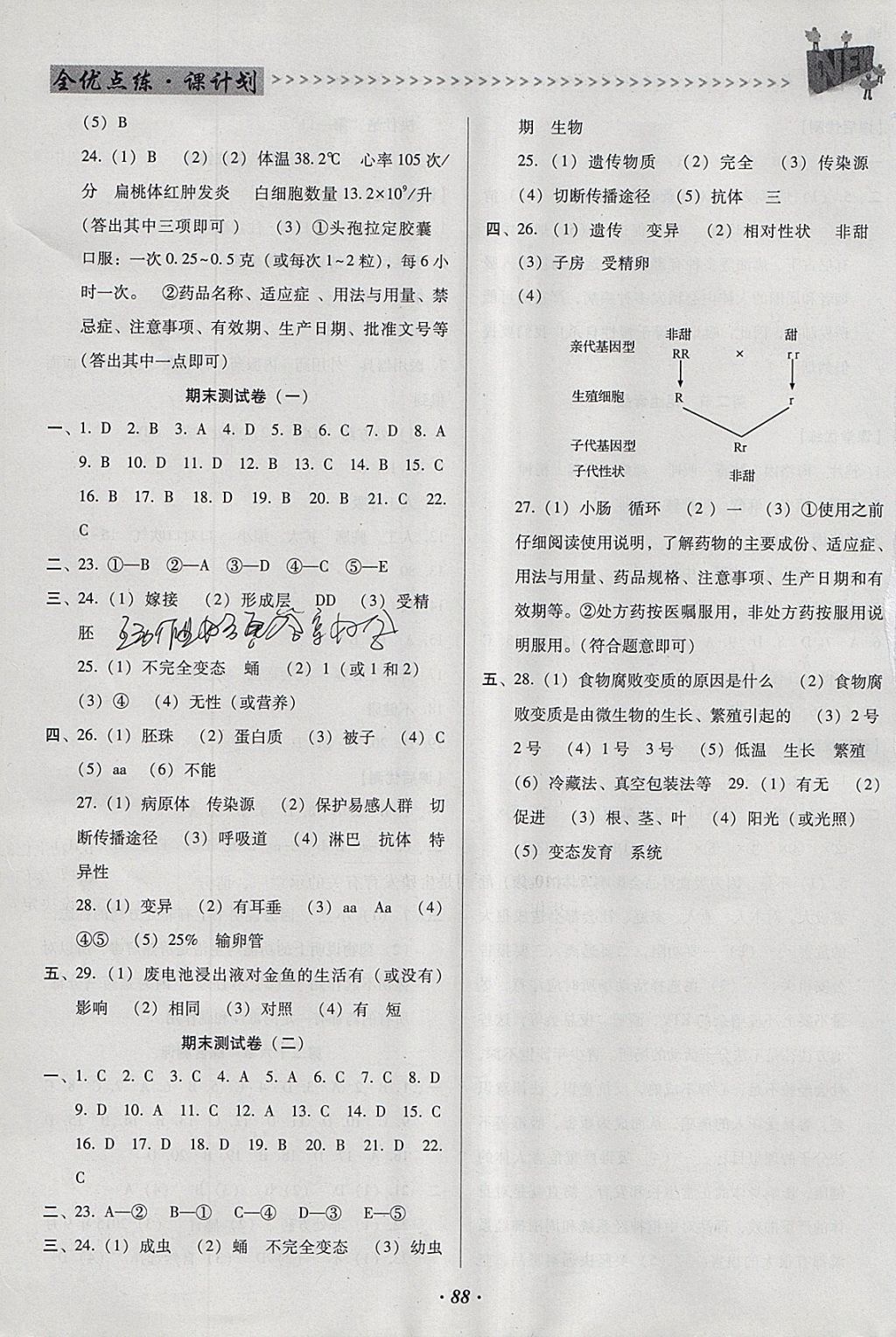 2018年全優(yōu)點練課計劃八年級生物下冊蘇教版 參考答案第10頁