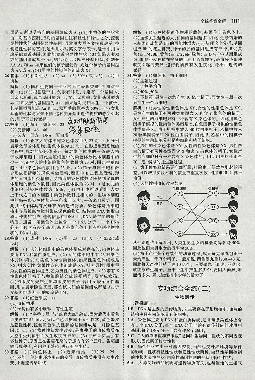 2018年5年中考3年模擬初中生物八年級(jí)下冊(cè)冀少版 參考答案第12頁(yè)