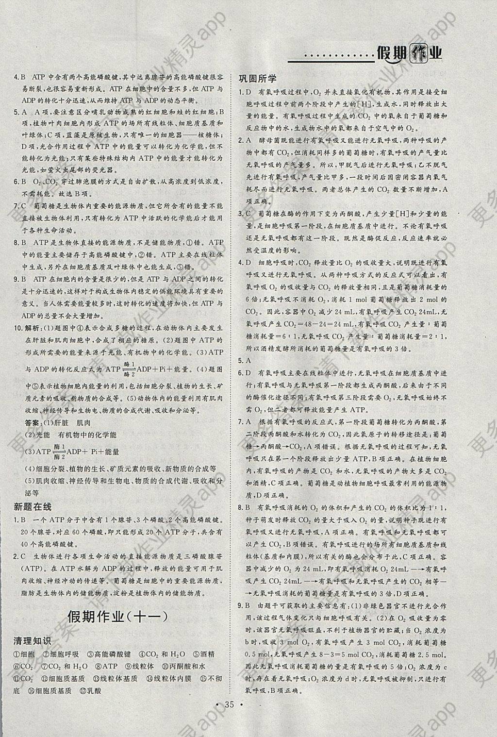 2018年假日氧吧快乐假日精彩生活寒假高一生