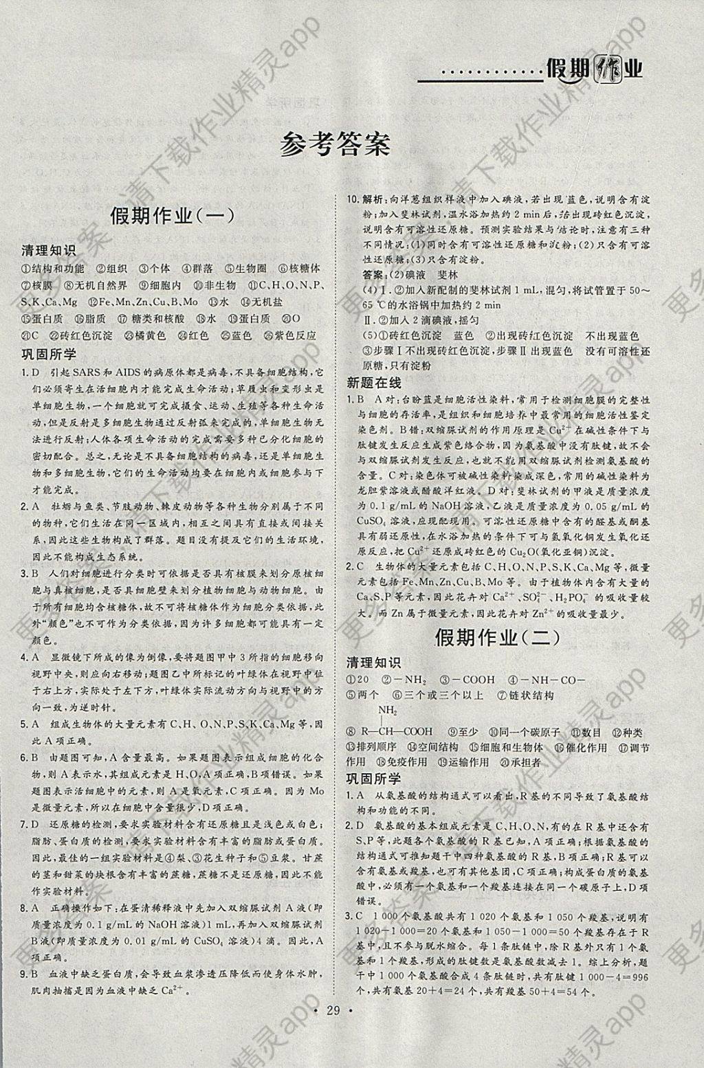 2018年假日氧吧快乐假日精彩生活寒假高一生