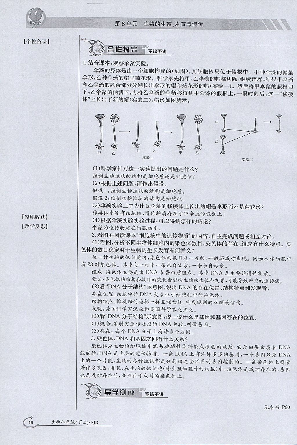 2018年金太阳导学案八年级生物下册苏教版 参考答案第18页