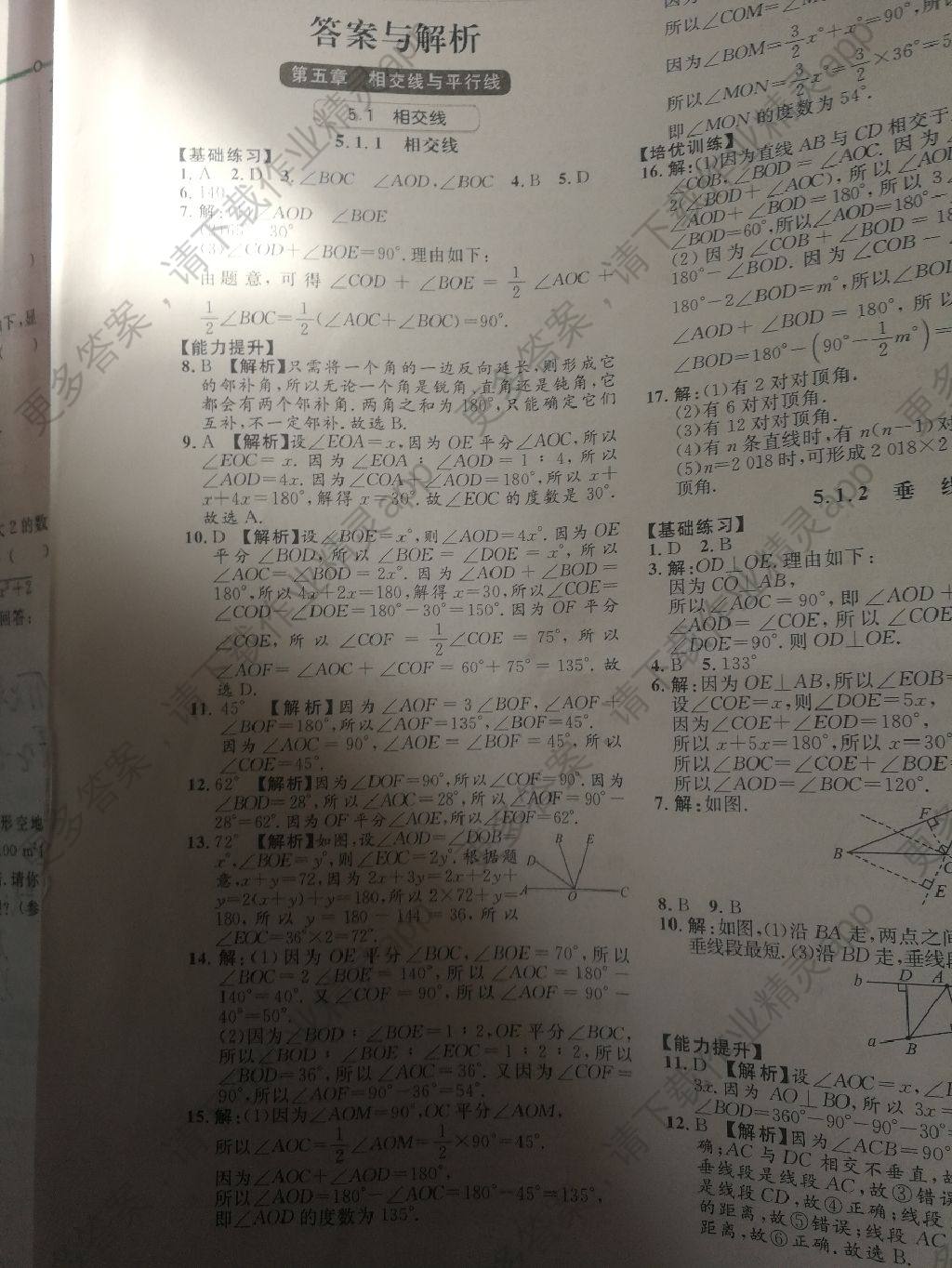 阳光同学答案——精英家教网