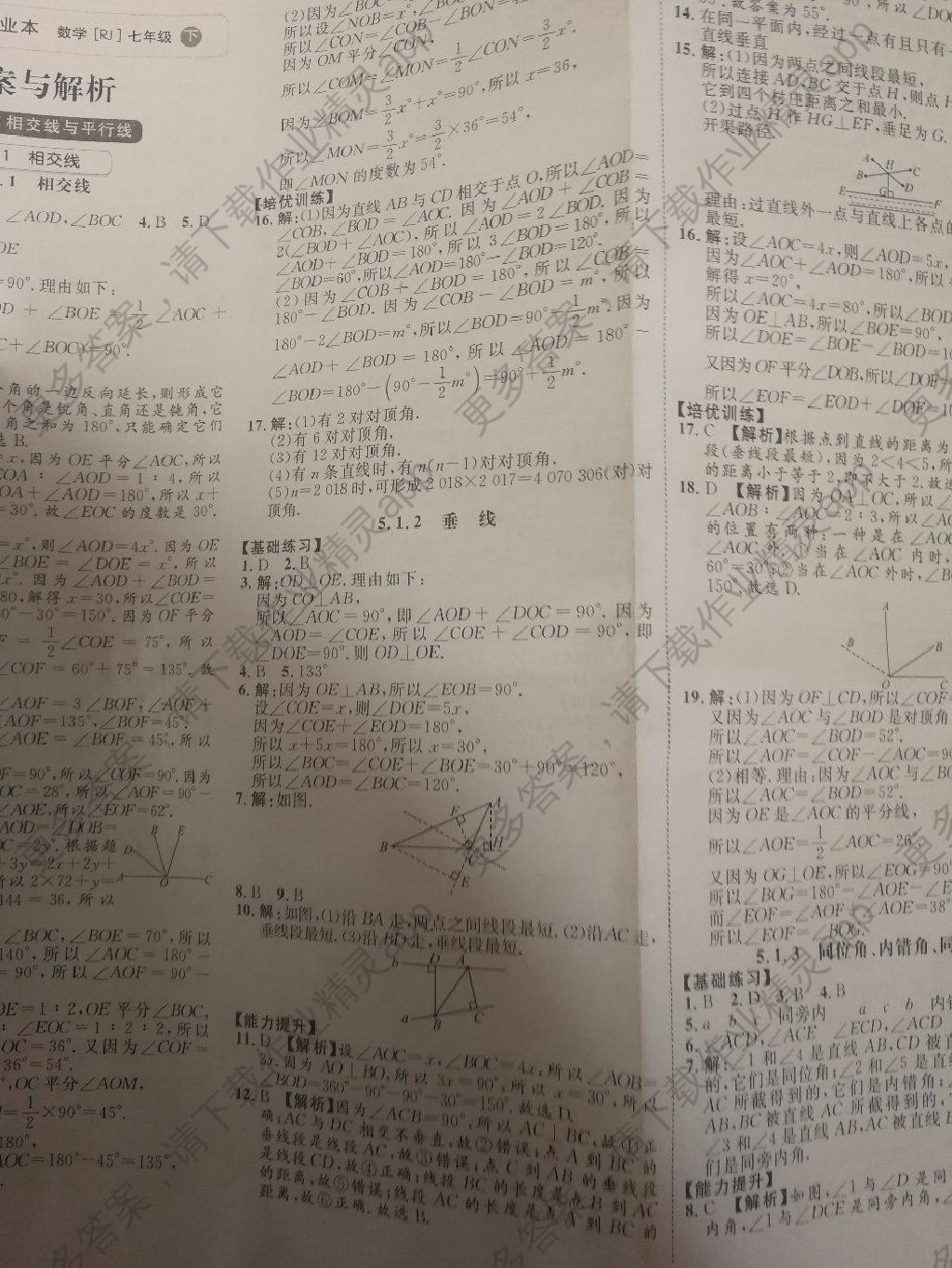 阳光同学答案