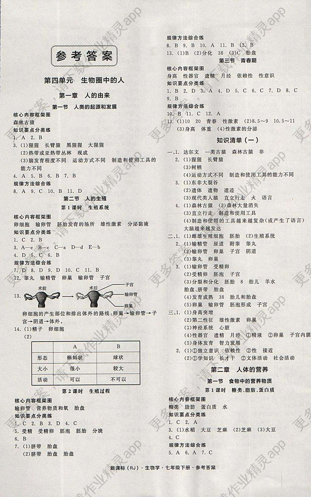 2018年全品作业本七年级生物学下册人教版 参考答案第1页