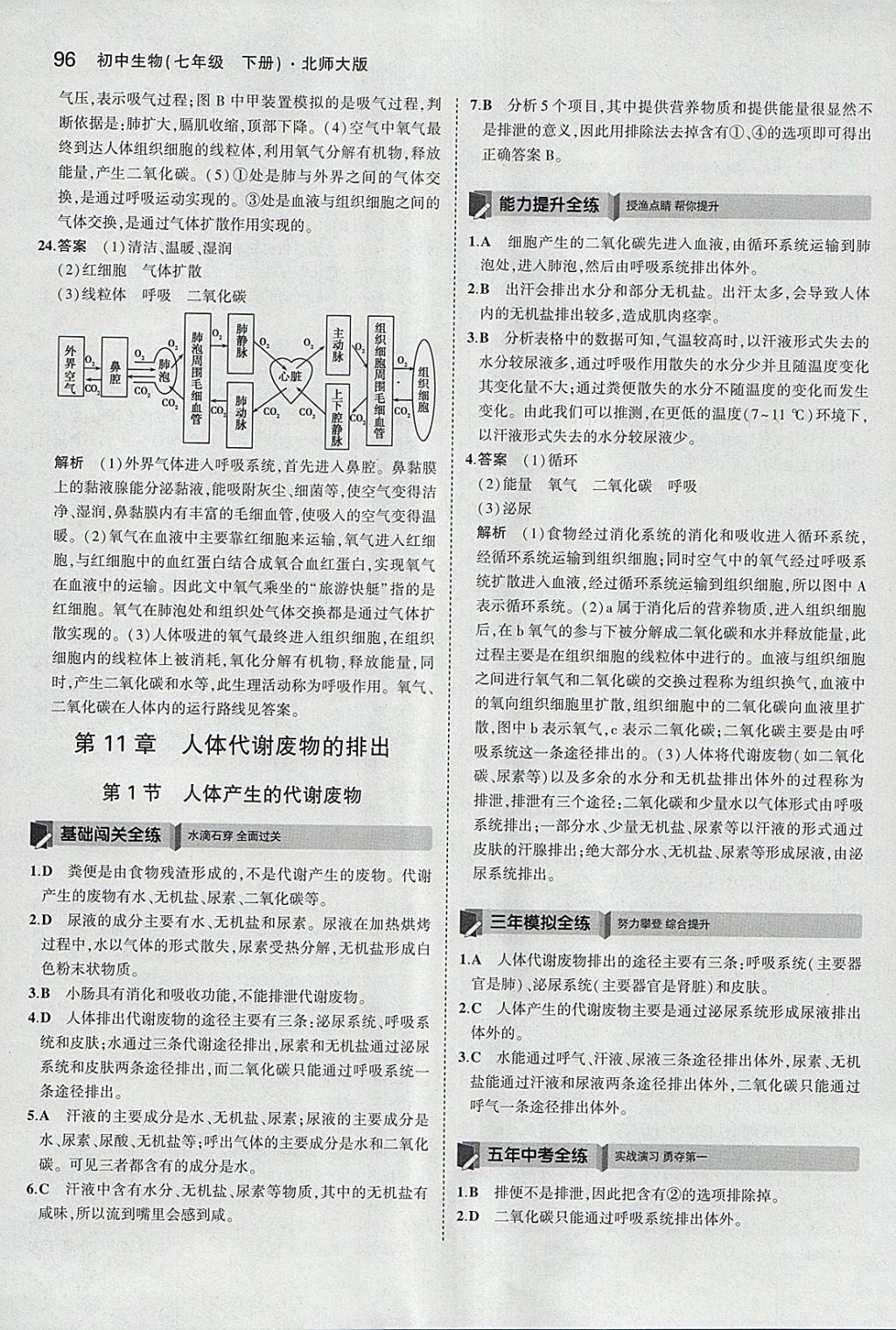 2018年5年中考3年模擬初中生物七年級下冊北師大版 參考答案第12頁