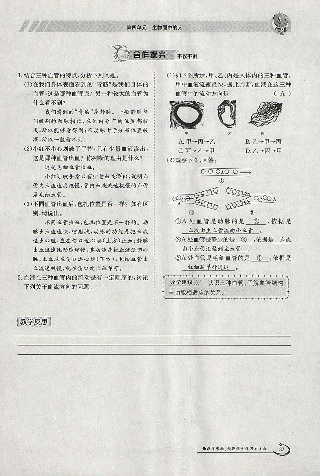 2018年金太陽導(dǎo)學(xué)案七年級生物下冊人教版 參考答案第37頁