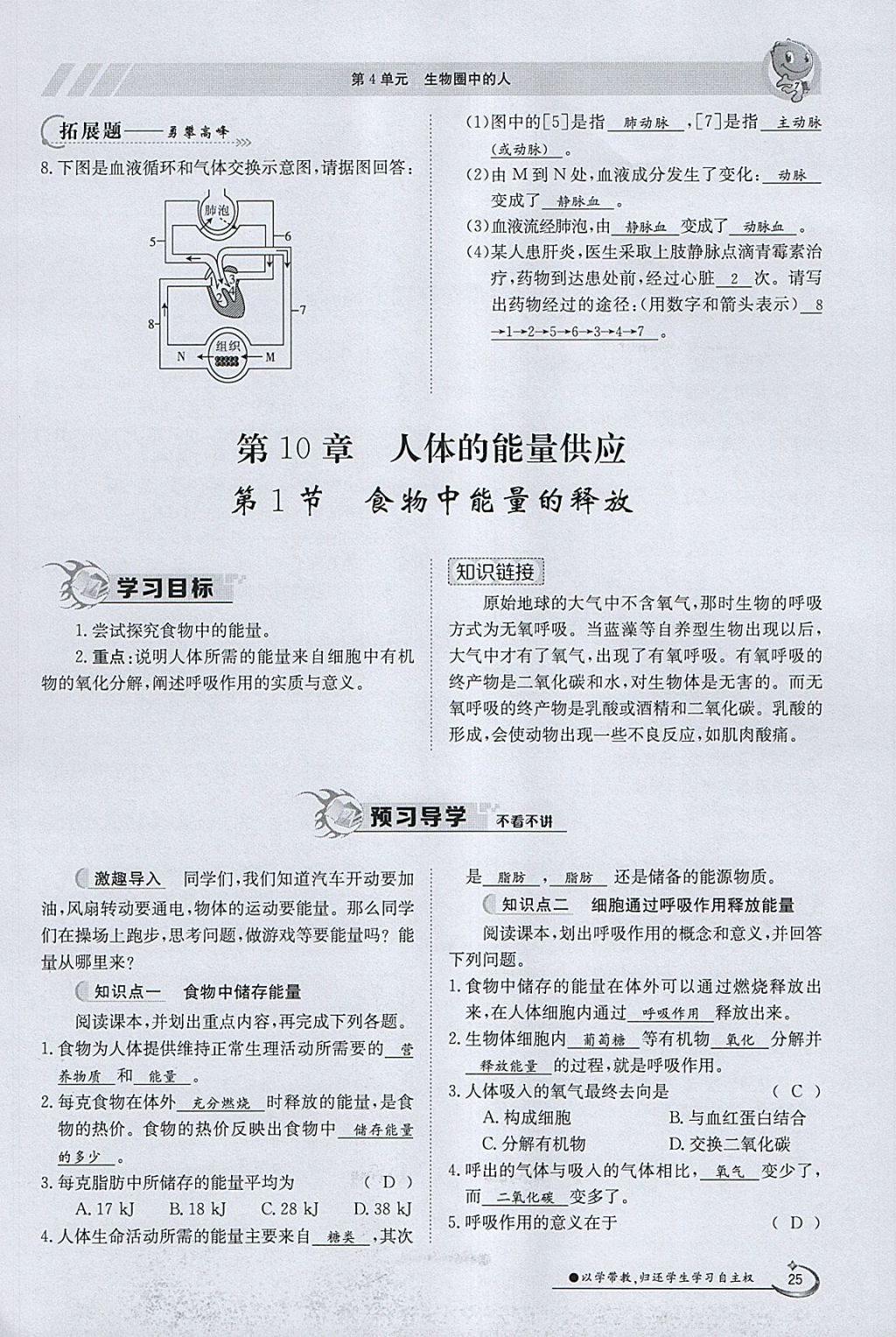 2018年金太陽導學案七年級生物下冊北師大版 參考答案第25頁