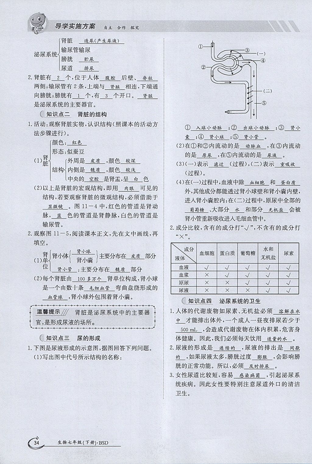 2018年金太陽導學案七年級生物下冊北師大版 參考答案第34頁