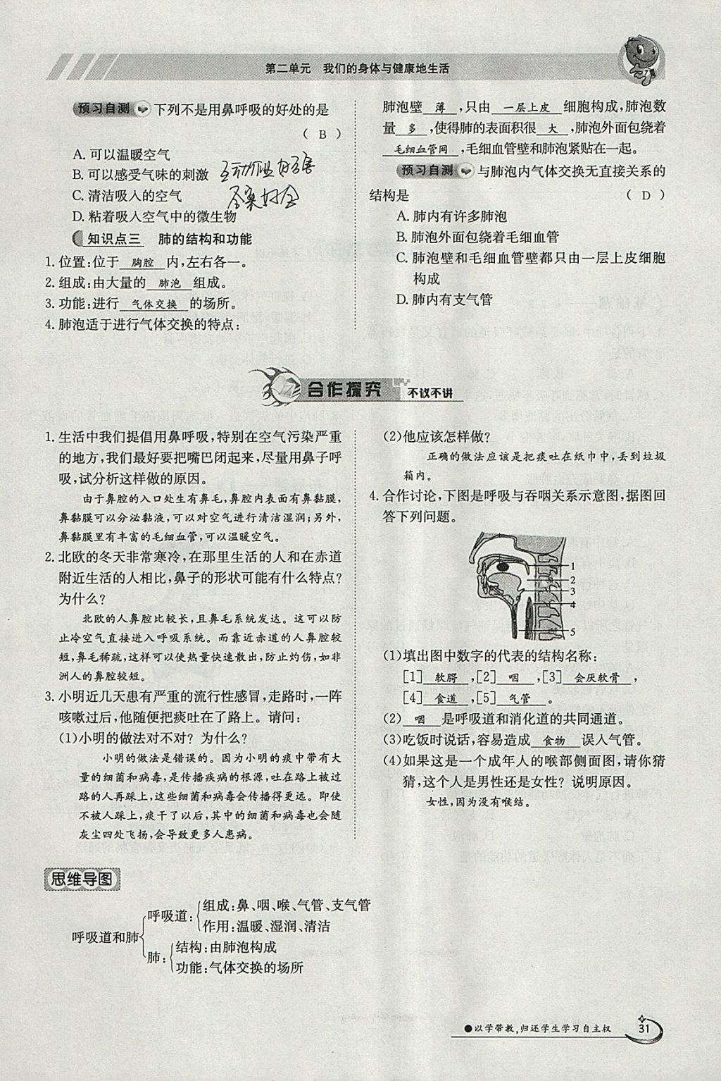 2018年金太陽導學案七年級生物下冊冀少版 參考答案第31頁