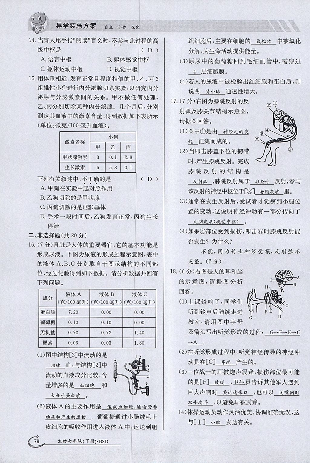 2018年金太陽導(dǎo)學(xué)案七年級(jí)生物下冊(cè)北師大版 參考答案第78頁