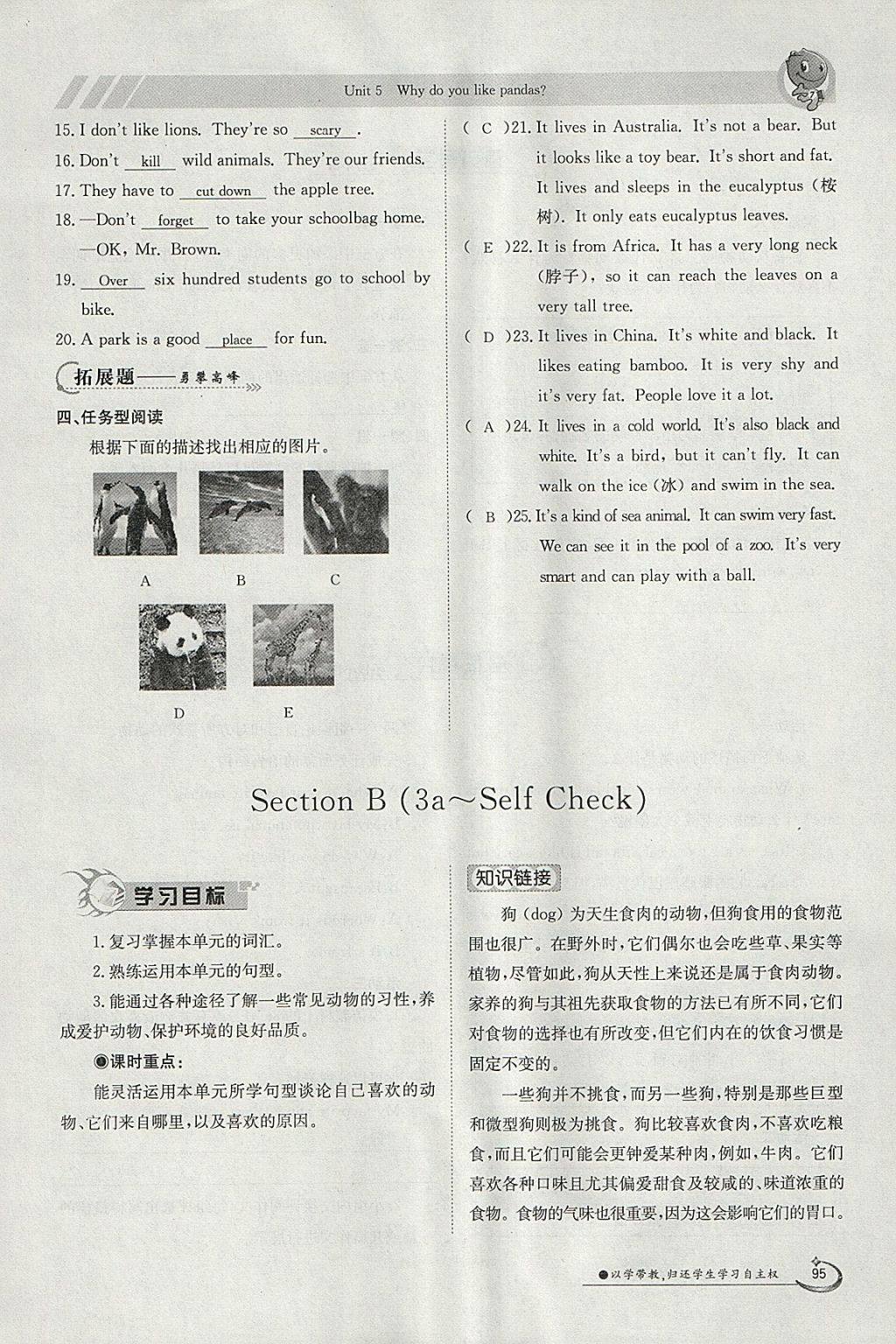 2018年金太陽導(dǎo)學(xué)案七年級(jí)英語下冊人教版 參考答案第95頁