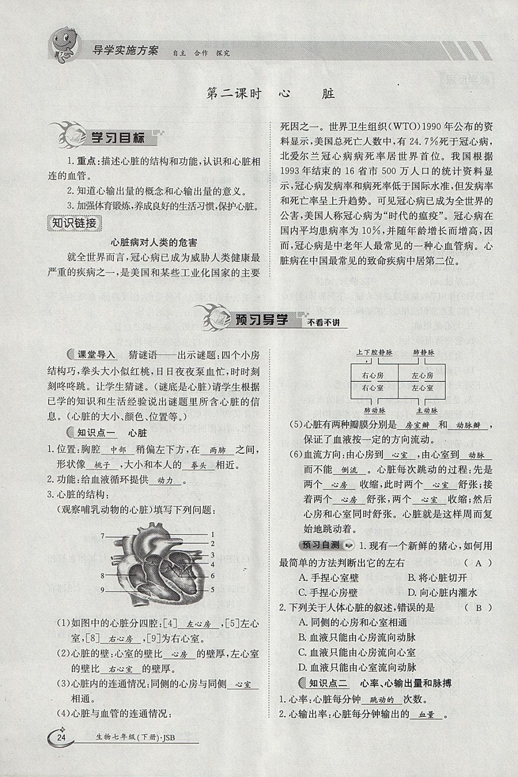 2018年金太陽(yáng)導(dǎo)學(xué)案七年級(jí)生物下冊(cè)冀少版 參考答案第24頁(yè)