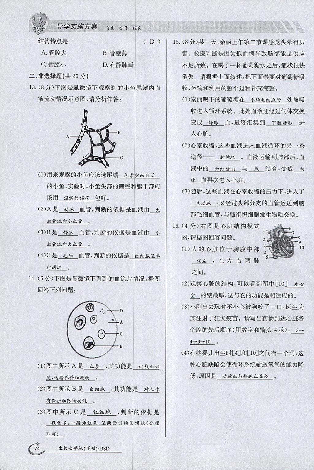 2018年金太陽導(dǎo)學(xué)案七年級(jí)生物下冊(cè)北師大版 參考答案第74頁