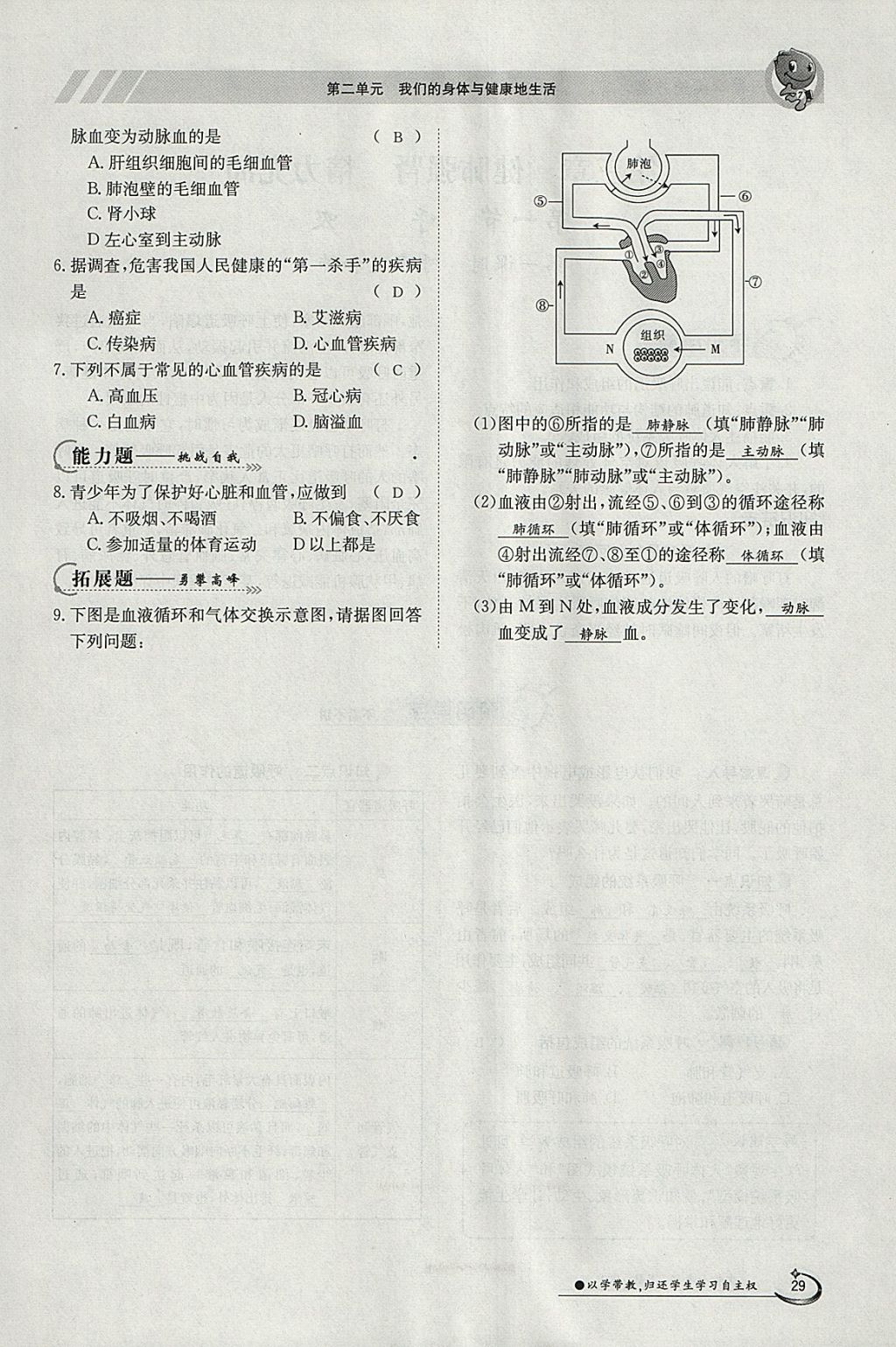 2018年金太陽導學案七年級生物下冊冀少版 參考答案第29頁