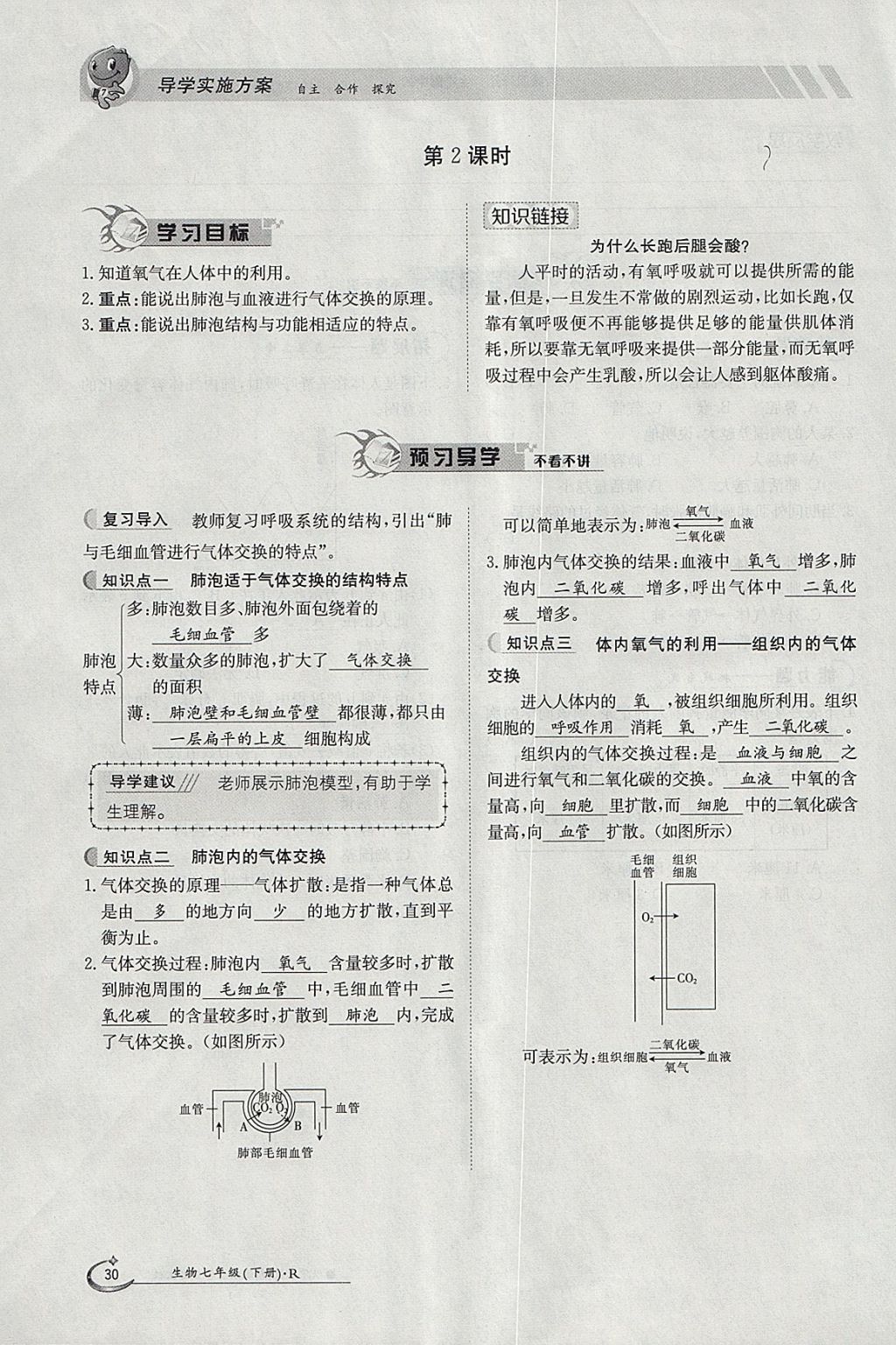 2018年金太陽導(dǎo)學(xué)案七年級生物下冊人教版 參考答案第30頁