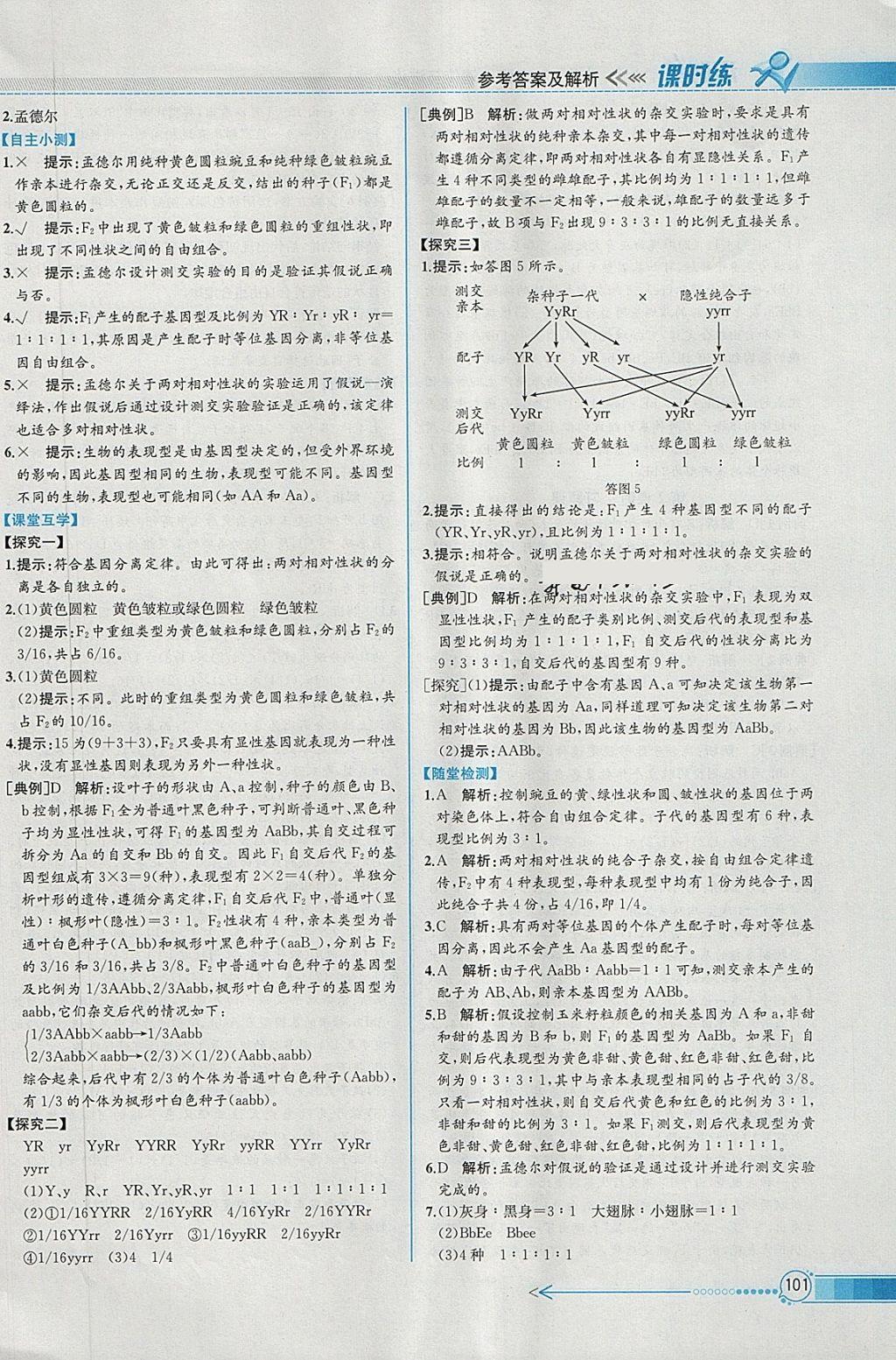 2018年同步導(dǎo)學(xué)案課時(shí)練生物必修2人教版 參考答案第4頁(yè)