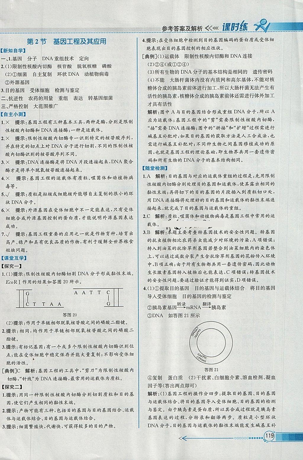 2018年同步導(dǎo)學(xué)案課時(shí)練生物必修2人教版 參考答案第22頁(yè)