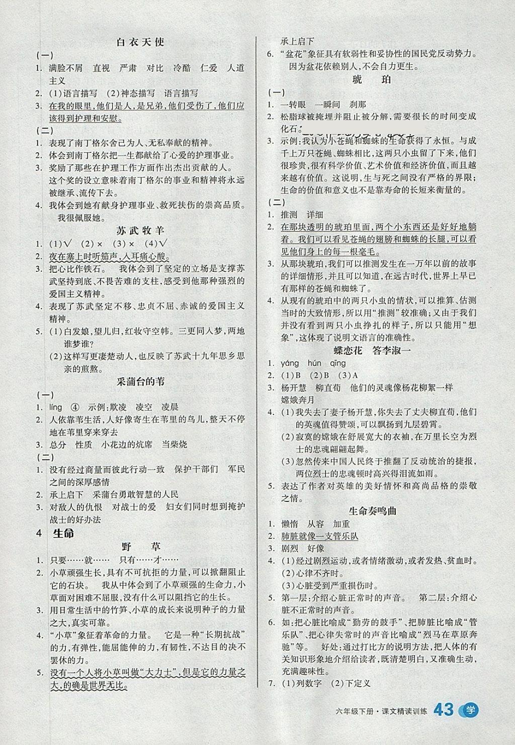 2018年全品學(xué)練考六年級(jí)語(yǔ)文下冊(cè)北師大版 第3頁(yè)