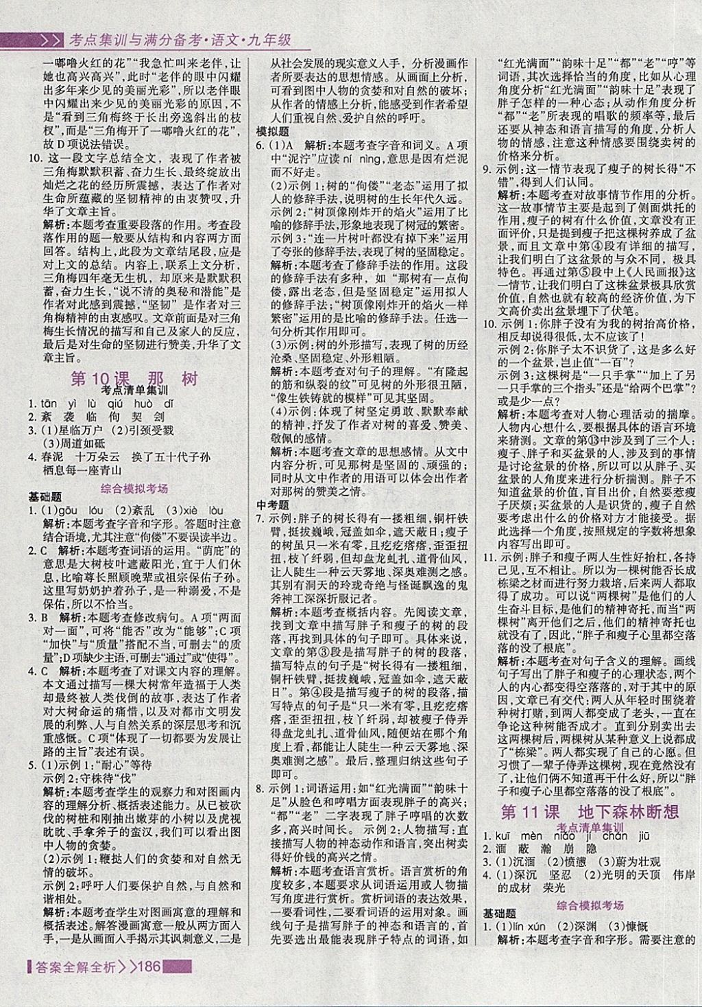 2018年考點(diǎn)集訓(xùn)與滿分備考九年級(jí)語(yǔ)文全一冊(cè)下 第10頁(yè)