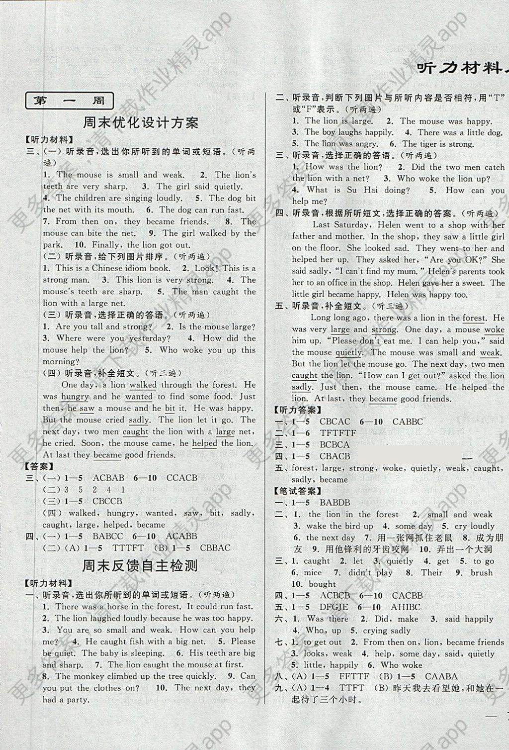 2018年亮点给力周末优化设计大试卷六年级英