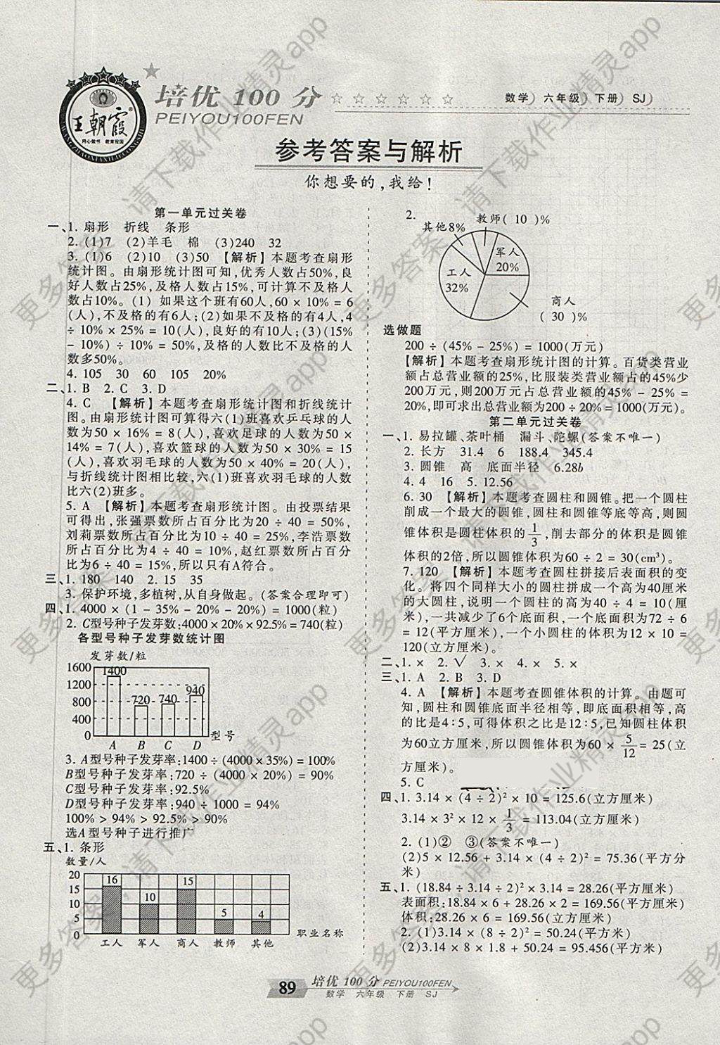 2018年王朝霞培优100分六年级数学下册苏教版