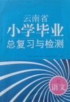 2020年云南省小学毕业总复习与检测语文人教版