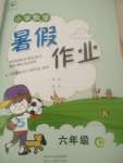 2020年小学暑假作业六年级数学c版陕西人民教育出版社
