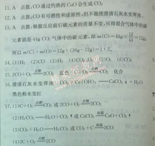 2014年啟東中學(xué)作業(yè)本九年級化學(xué)上冊人教版 作業(yè)33