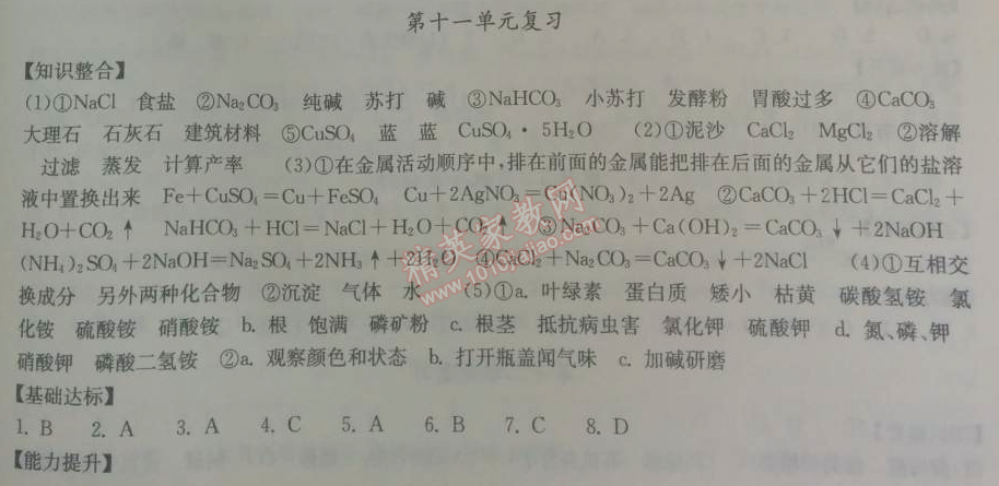 2014年长江作业本同步练习册九年级化学下册人教版 第十一单元