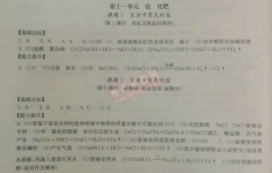 2014年长江作业本同步练习册九年级化学下册人教版 第十一单元