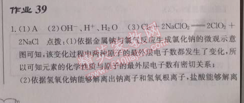 2014年啟東中學(xué)作業(yè)本九年級(jí)化學(xué)下冊(cè)人教版 作業(yè)39