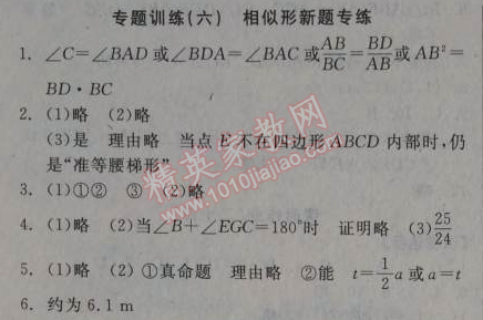 2014年全品學(xué)練考九年級(jí)數(shù)學(xué)上冊(cè)華師大版 專題訓(xùn)練六