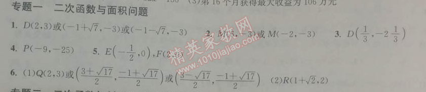 2014年长江作业本同步练习册九年级数学下册人教版 专题一
