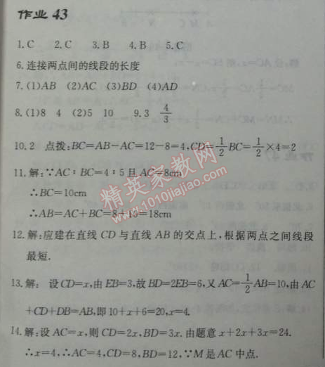 2014年啟東中學(xué)作業(yè)本七年級數(shù)學(xué)上冊人教版 作業(yè)43