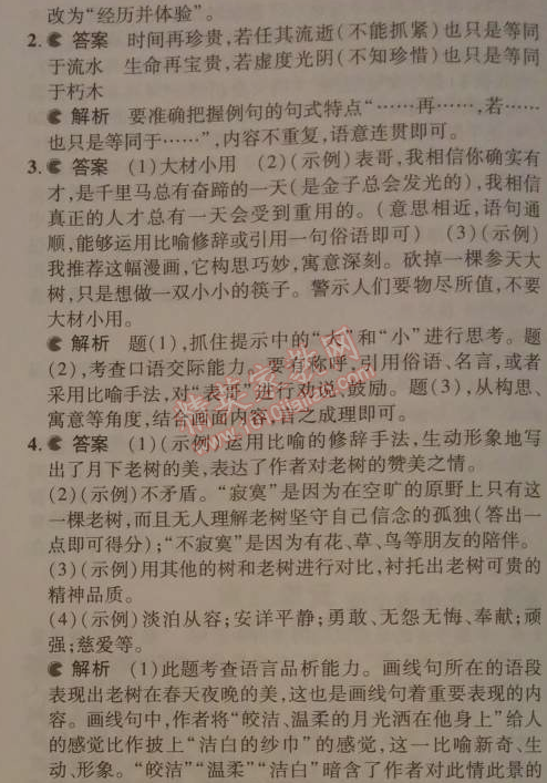 2014年5年中考3年模擬初中語(yǔ)文九年級(jí)下冊(cè)人教版 10、那樹（王鼎鈞）