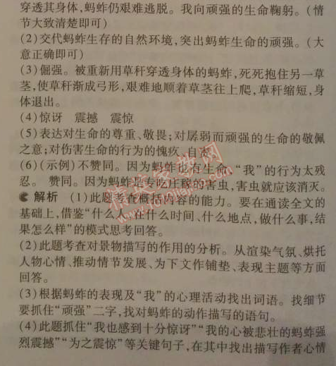 2014年5年中考3年模拟初中语文九年级下册人教版 8、热爱生命（杰克·伦敦）