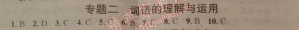 2014年名校課堂助教型教輔九年級語文下冊人教版 專題二