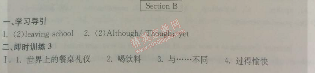 2014年长江作业本同步练习册九年级英语下册人教版 2