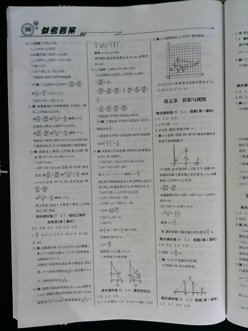 輕巧奪冠周測月考直通中考九年級數(shù)學(xué)上冊北師大版 第8頁