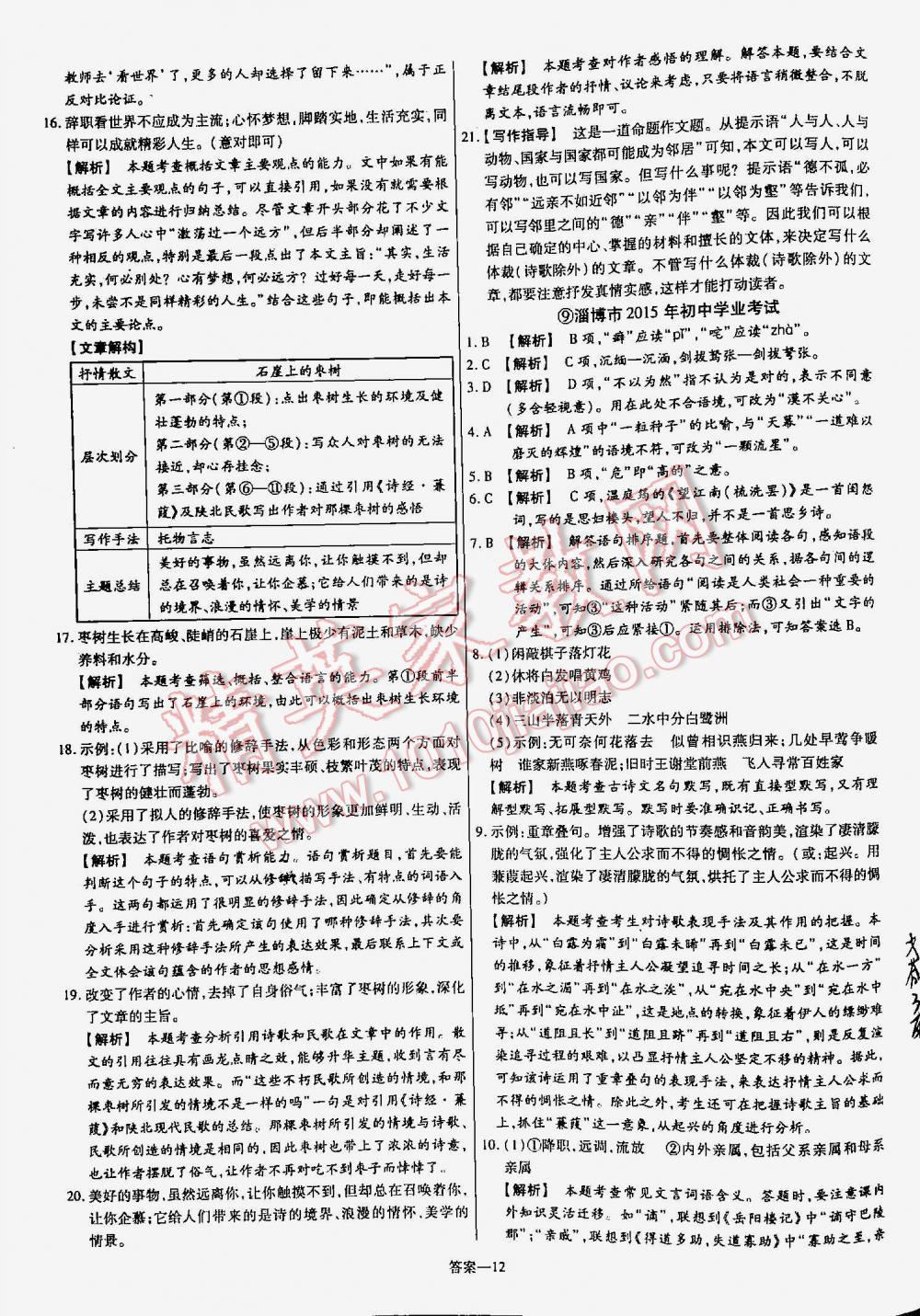 2016年金考卷山东中考45套汇编语文 第12页