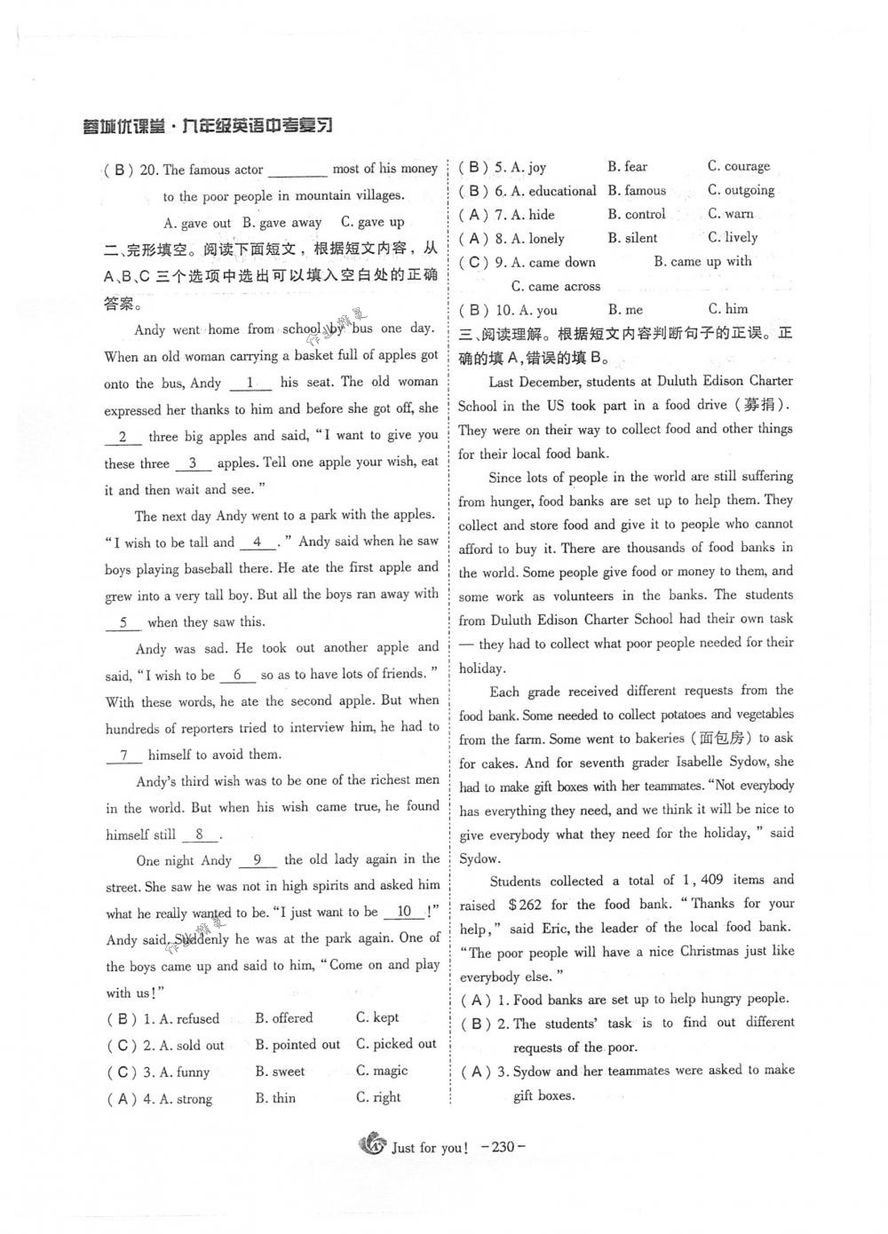 2018年蓉城優(yōu)課堂給力A+九年級(jí)英語(yǔ)下冊(cè)人教版 第230頁(yè)