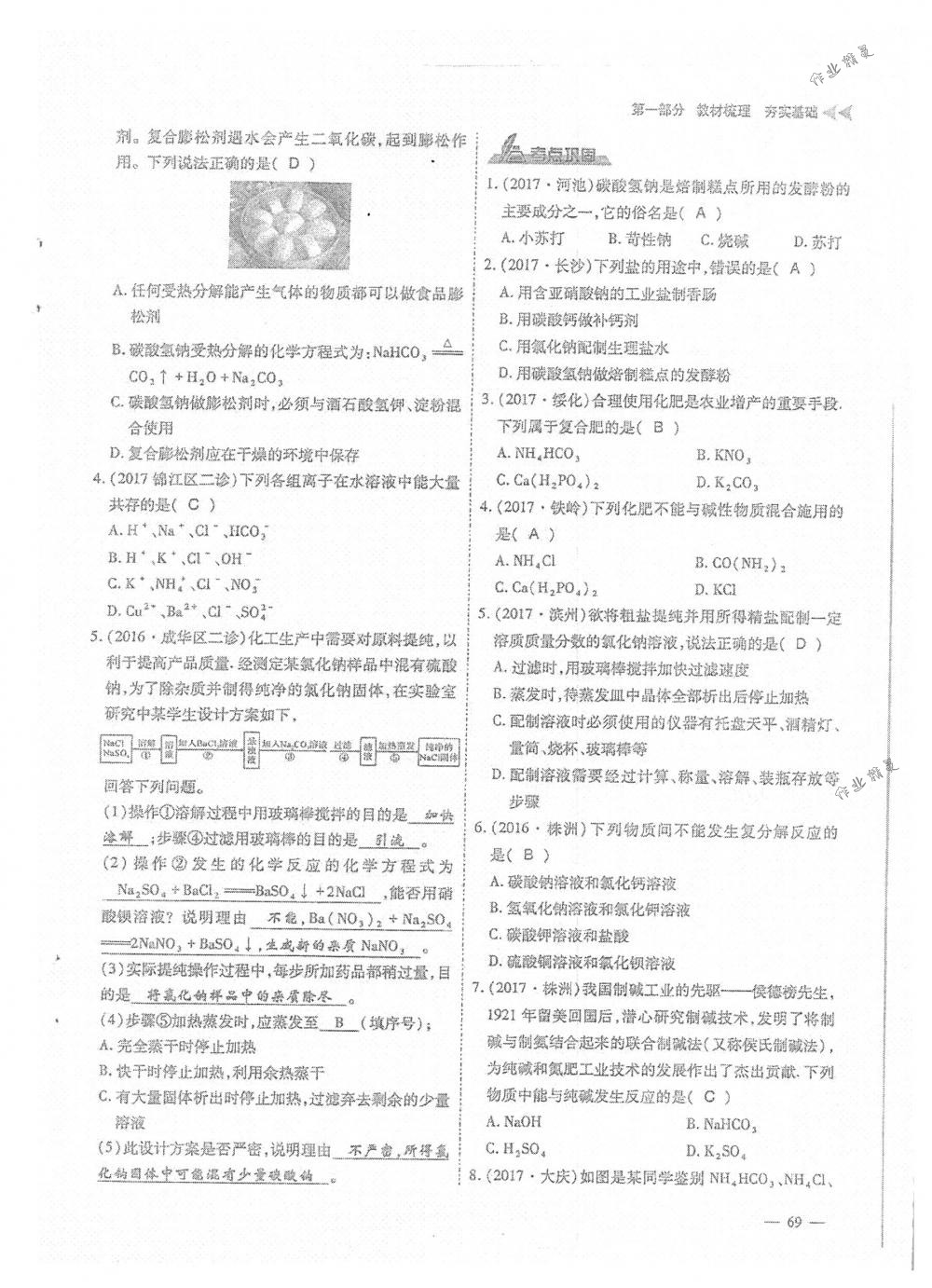 2018年蓉城优课堂给力A+九年级化学下册人教版 第69页