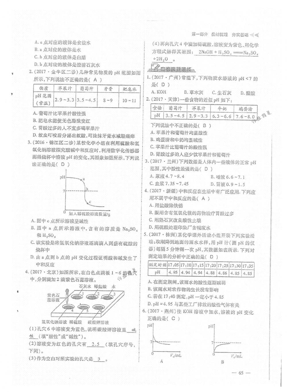 2018年蓉城优课堂给力A+九年级化学下册人教版 第65页